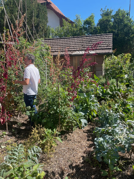 jardin_potager1