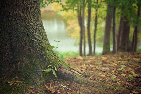 En dialogue spirituel avec la nature