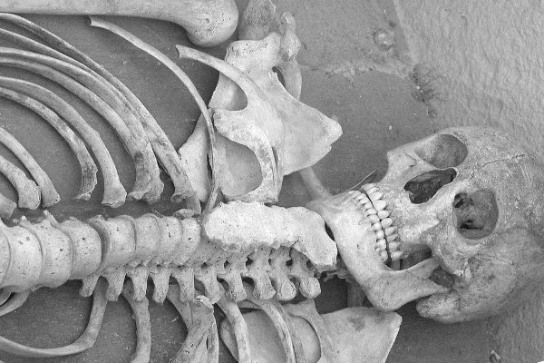skeleton