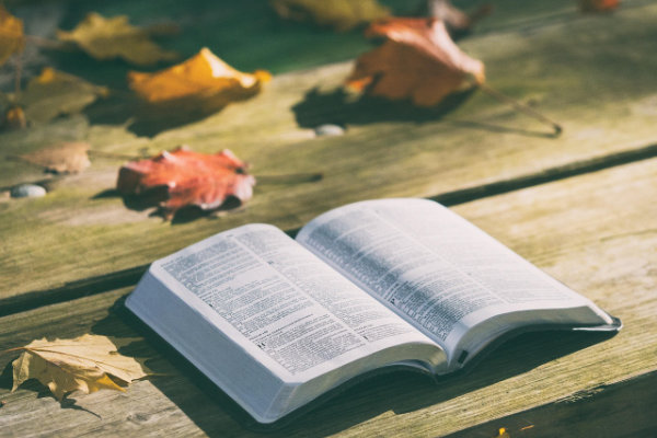bible