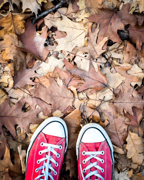 sneakers